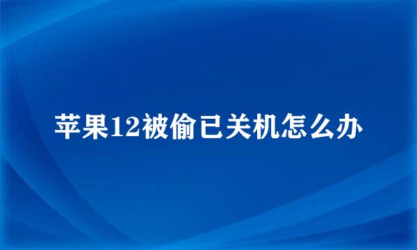 苹果12被偷已关机怎么办