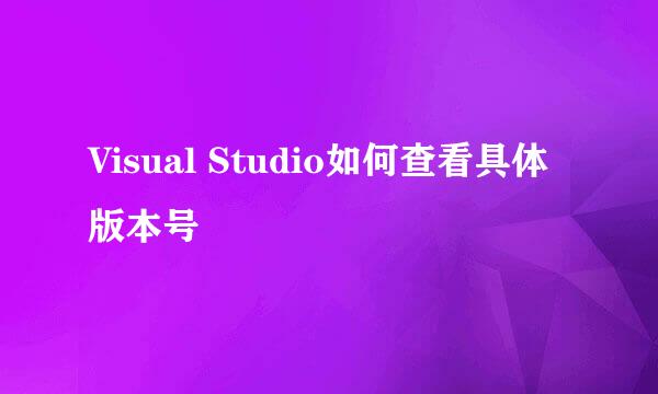 Visual Studio如何查看具体版本号