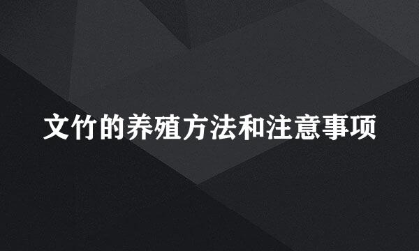 文竹的养殖方法和注意事项