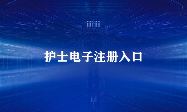 护士电子注册入口