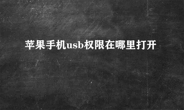 苹果手机usb权限在哪里打开