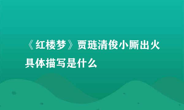 《红楼梦》贾琏清俊小厮出火具体描写是什么