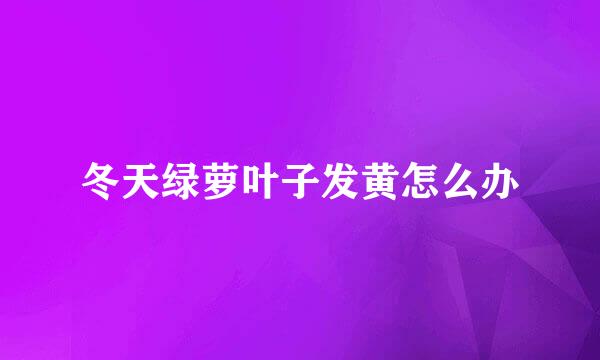 冬天绿萝叶子发黄怎么办