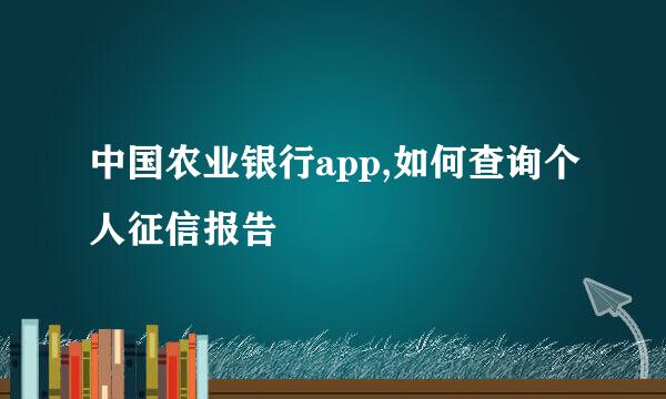 中国农业银行app,如何查询个人征信报告