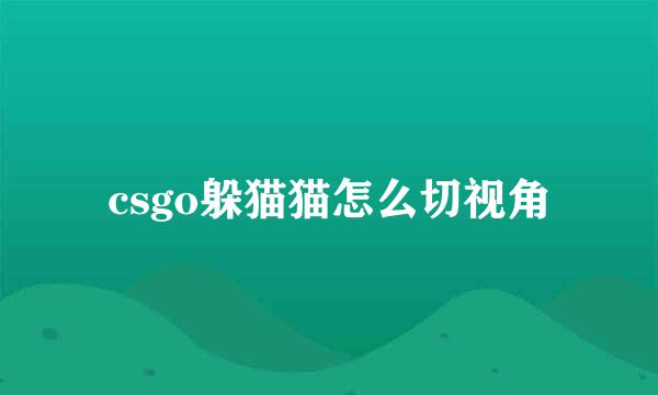 csgo躲猫猫怎么切视角