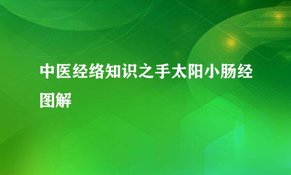 中医经络知识之手太阳小肠经图解