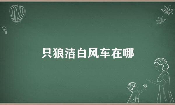 只狼洁白风车在哪