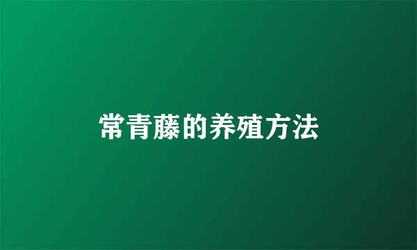 常青藤的养殖方法