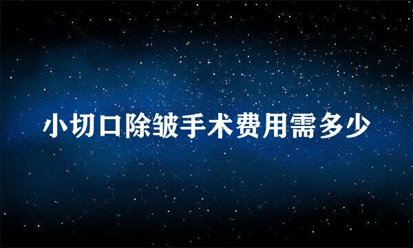 小切口除皱手术费用需多少