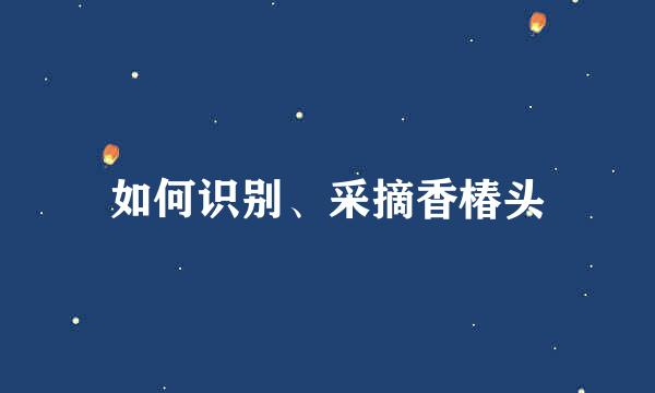 如何识别、采摘香椿头