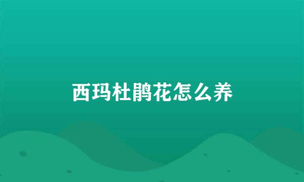 西玛杜鹃花怎么养