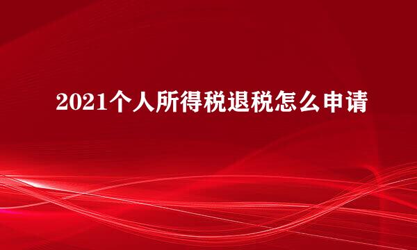 2021个人所得税退税怎么申请