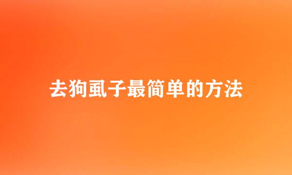 去狗虱子最简单的方法