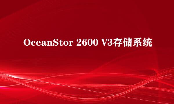 OceanStor 2600 V3存储系统