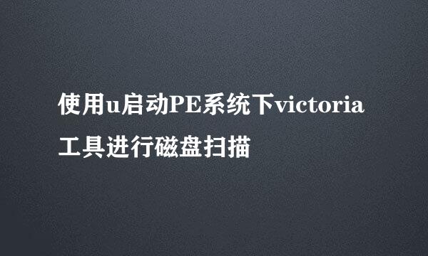 使用u启动PE系统下victoria工具进行磁盘扫描