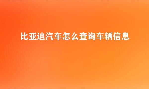 比亚迪汽车怎么查询车辆信息