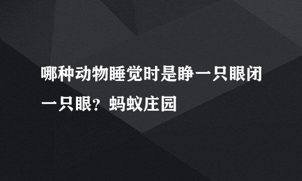 哪种动物睡觉时是睁一只眼闭一只眼？蚂蚁庄园