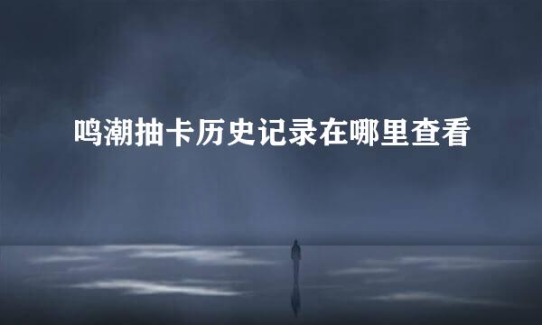 鸣潮抽卡历史记录在哪里查看