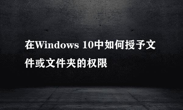 在Windows 10中如何授予文件或文件夹的权限