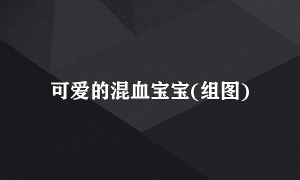 可爱的混血宝宝(组图)