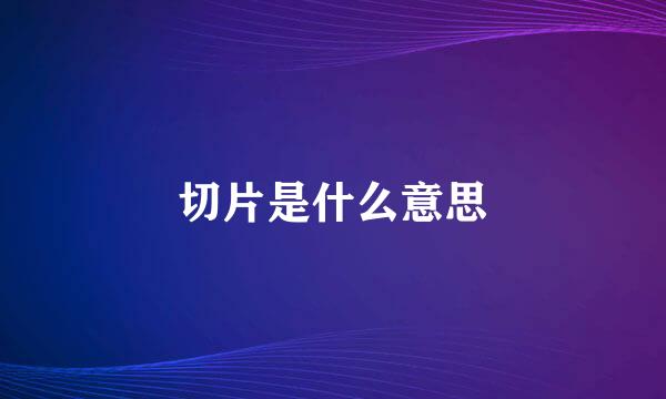 切片是什么意思