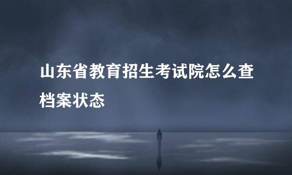 山东省教育招生考试院怎么查档案状态