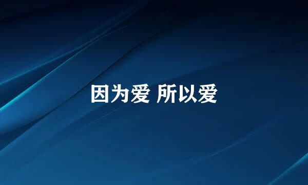 因为爱 所以爱