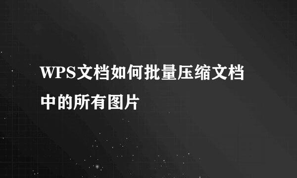 WPS文档如何批量压缩文档中的所有图片