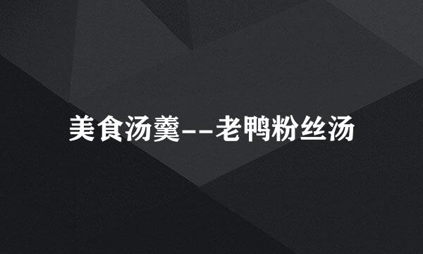 美食汤羹--老鸭粉丝汤