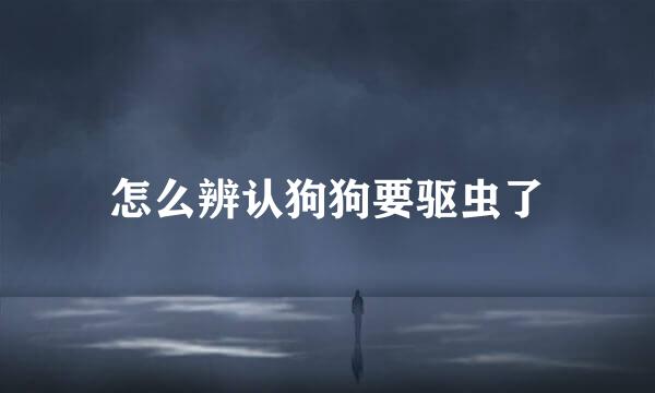 怎么辨认狗狗要驱虫了
