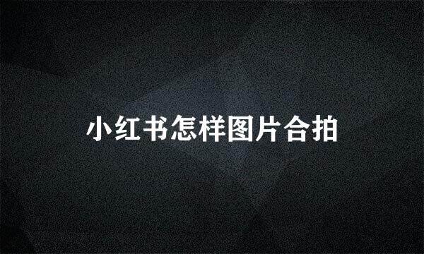 小红书怎样图片合拍