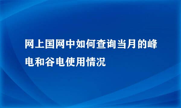网上国网中如何查询当月的峰电和谷电使用情况