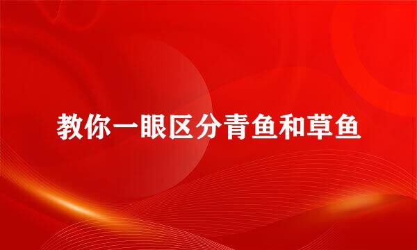 教你一眼区分青鱼和草鱼
