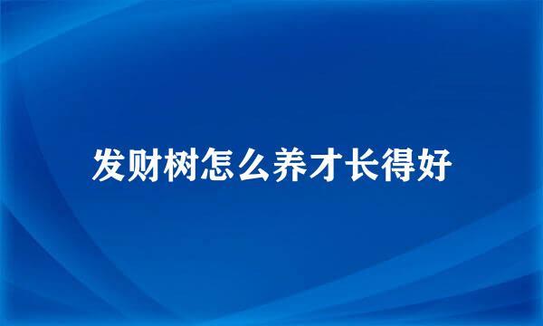 发财树怎么养才长得好