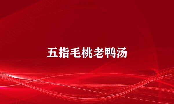 五指毛桃老鸭汤