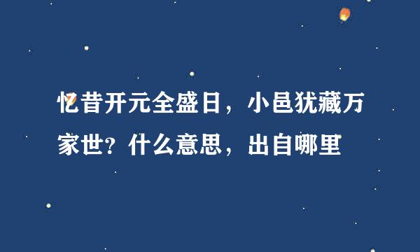 忆昔开元全盛日，小邑犹藏万家世？什么意思，出自哪里