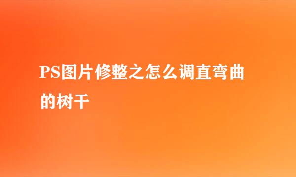 PS图片修整之怎么调直弯曲的树干