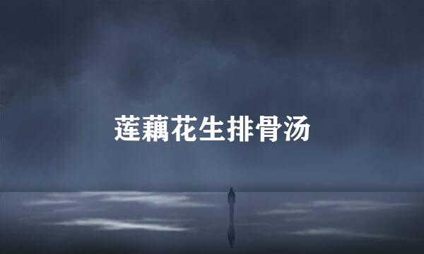 莲藕花生排骨汤