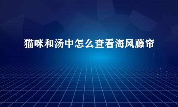 猫咪和汤中怎么查看海风藤帘