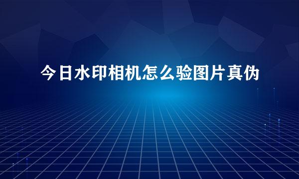 今日水印相机怎么验图片真伪