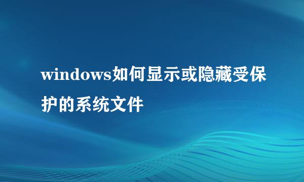 windows如何显示或隐藏受保护的系统文件