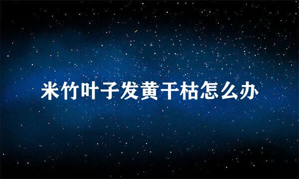 米竹叶子发黄干枯怎么办