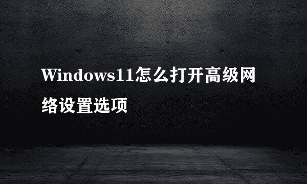 Windows11怎么打开高级网络设置选项