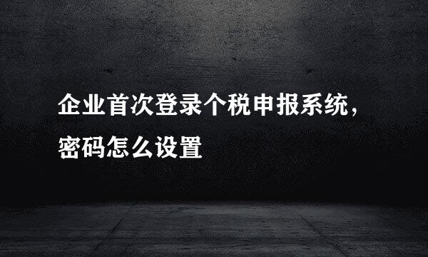 企业首次登录个税申报系统，密码怎么设置