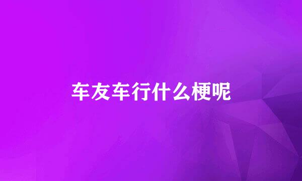 车友车行什么梗呢