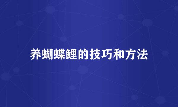 养蝴蝶鲤的技巧和方法