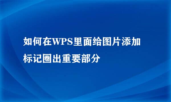 如何在WPS里面给图片添加标记圈出重要部分