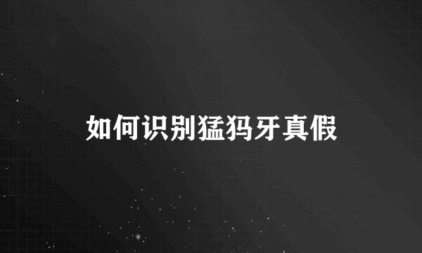 如何识别猛犸牙真假