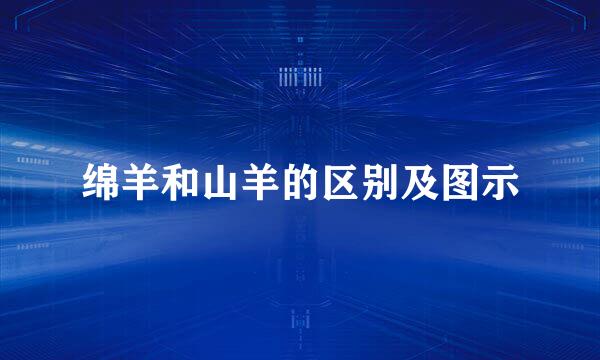 绵羊和山羊的区别及图示