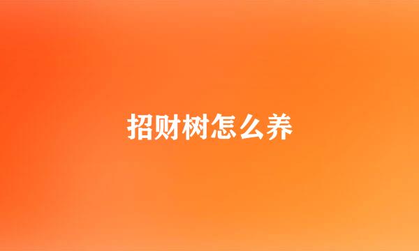 招财树怎么养